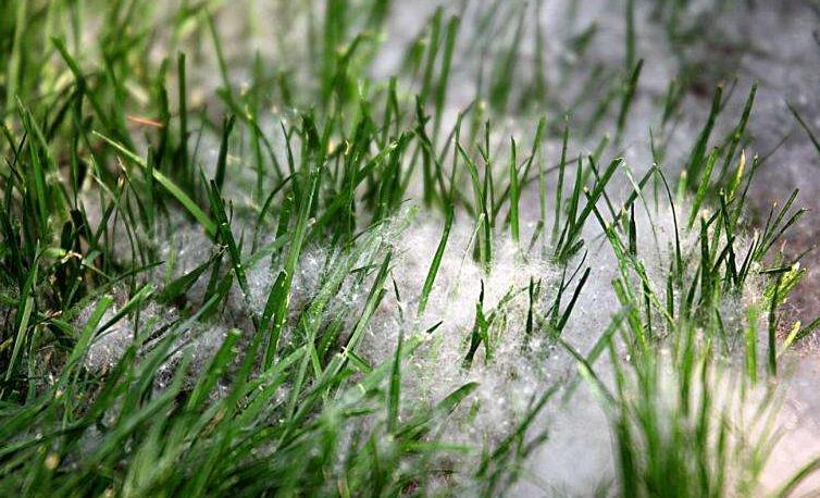 冬季將至，如何除去人造草皮中的冰雪？鉆石地為您支招